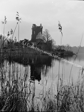 ROSS CASTLE STUDIES WITH REEDS